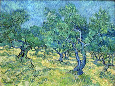 Olive Grove by Vincent van Gogh